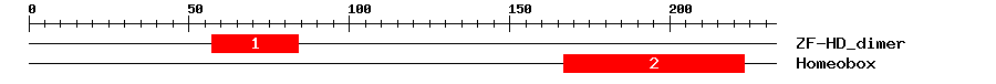 Signature Domain