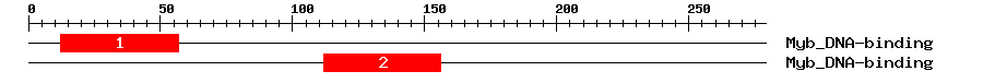 Signature Domain