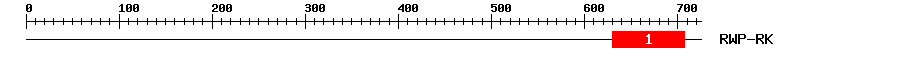 Signature Domain
