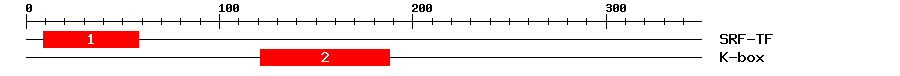 Signature Domain