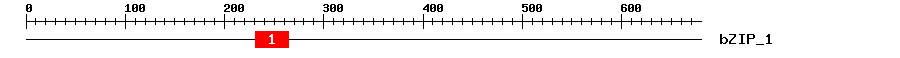 Signature Domain