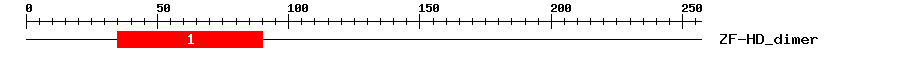 Signature Domain