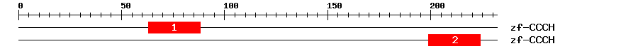 Signature Domain