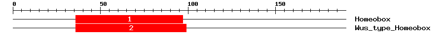 Signature Domain
