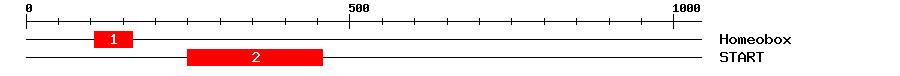 Signature Domain