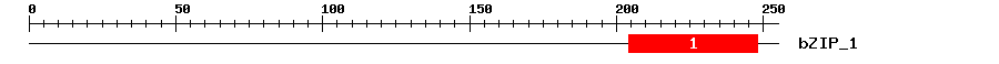 Signature Domain