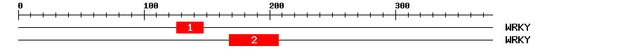 Signature Domain