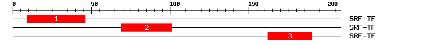 Signature Domain