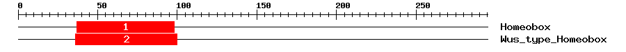 Signature Domain