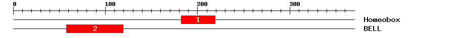Signature Domain