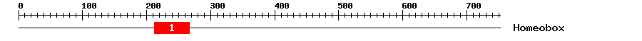 Signature Domain