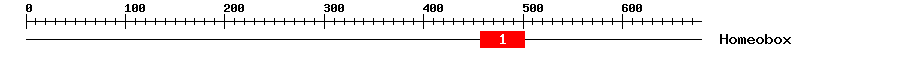 Signature Domain