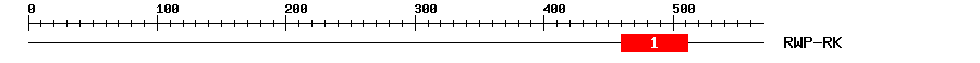 Signature Domain