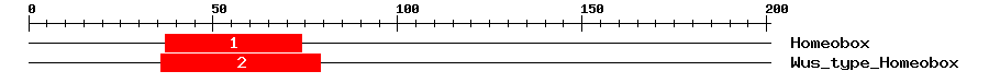 Signature Domain