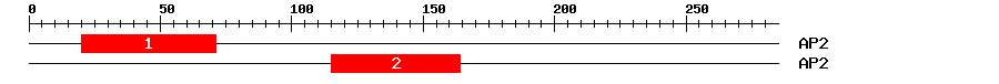 Signature Domain