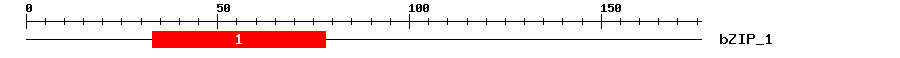Signature Domain