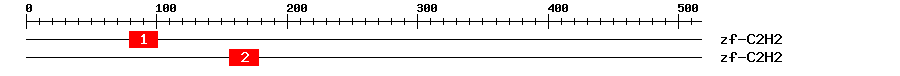 Signature Domain
