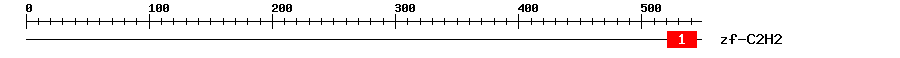 Signature Domain