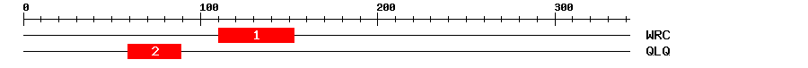 Signature Domain