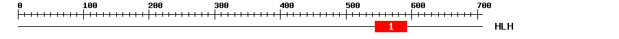 Signature Domain