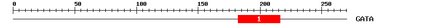 Signature Domain