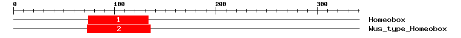 Signature Domain