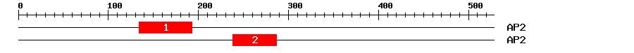 Signature Domain