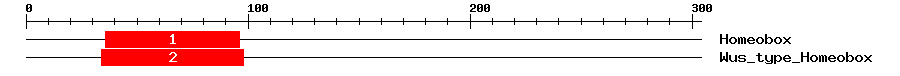 Signature Domain