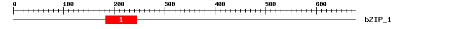 Signature Domain
