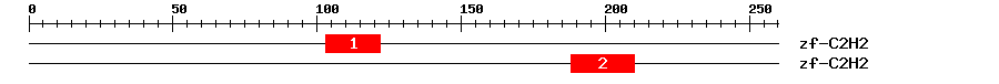 Signature Domain