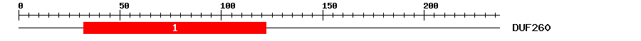 Signature Domain