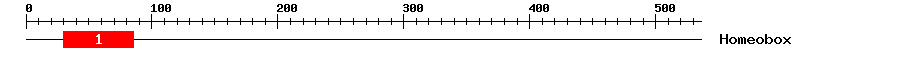Signature Domain