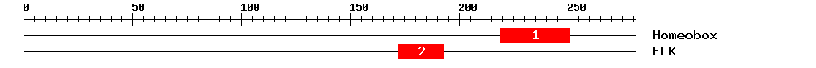 Signature Domain