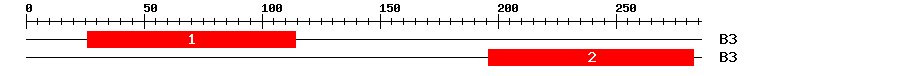 Signature Domain