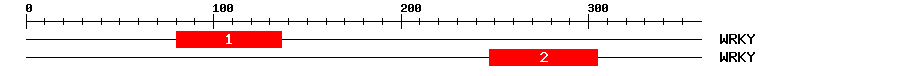 Signature Domain