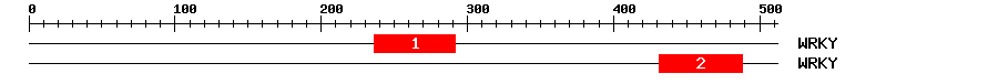 Signature Domain