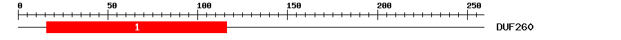Signature Domain