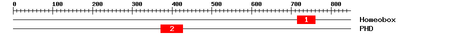 Signature Domain