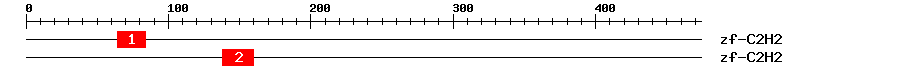 Signature Domain