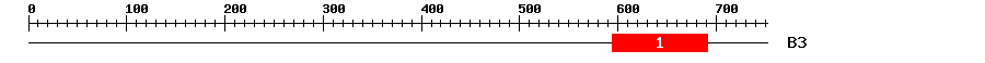 Signature Domain