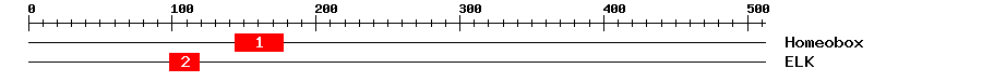 Signature Domain