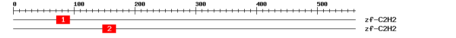 Signature Domain
