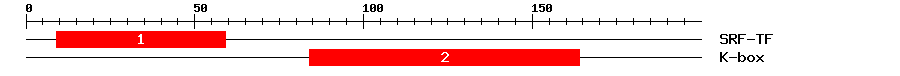 Signature Domain