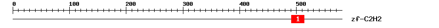 Signature Domain