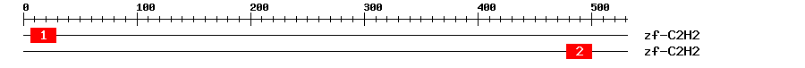 Signature Domain