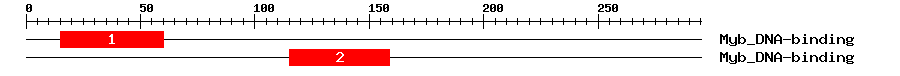 Signature Domain