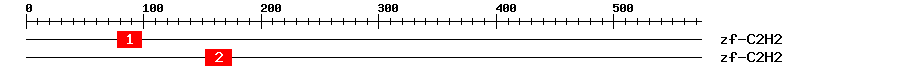 Signature Domain