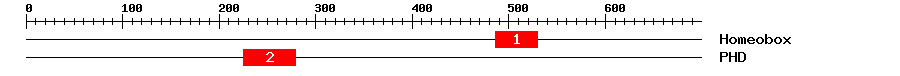 Signature Domain