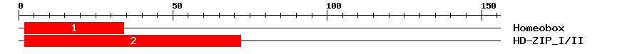 Signature Domain
