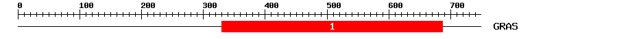 Signature Domain